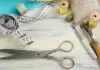 How to Use a Seam Ripper Properly